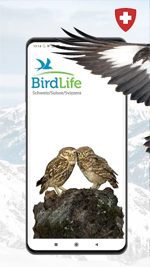 Vogelführer Birdlife Schweiz Screenshot 0