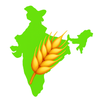 Mandi Bhav - UP, Delhi Rates
