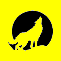 Lone Wolf Renovations