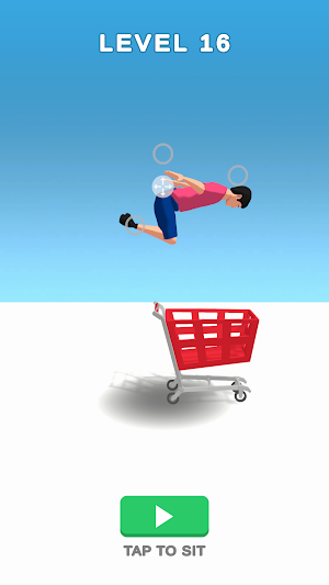 Pro Sit 3D Screenshot 0