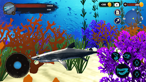 The DogFish Screenshot 3
