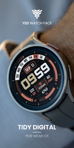 Tidy Digital: Watch Face Screenshot 3