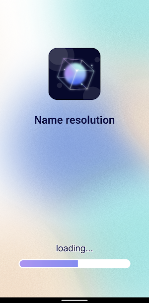 Name Resolution Screenshot 0