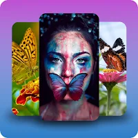 Butterfly wallpaper background