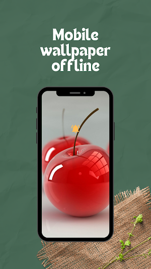 Mobile wallpaper offline Screenshot 0