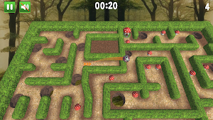 Tricky Maze Roller Screenshot 1