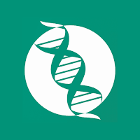 Vetex