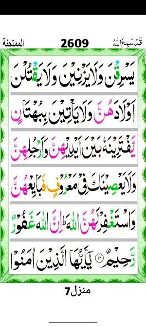 Surah Mumtahina Screenshot 3