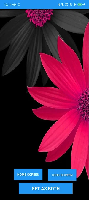Wallpaper App Screenshot 1