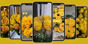 خلفيات ورود_خلفيات زهور 2024 Screenshot 2