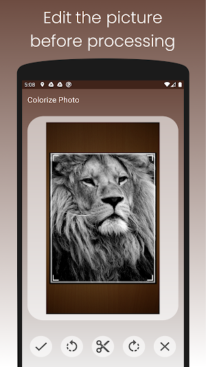 Colorize Photo - Black and White to Color Screenshot 1