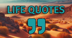 Life Quotes Screenshot 0