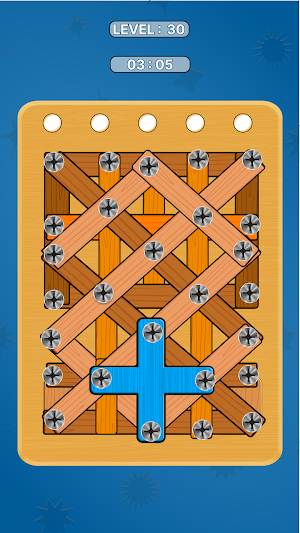 Screw Puzzle Games: Nut & Bolt Screenshot 3