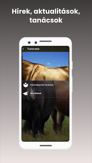 GoldHorse Screenshot 3