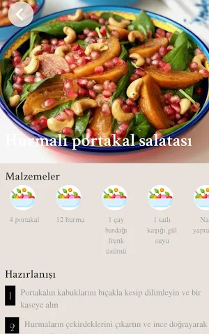 Salata Tarifleri Screenshot 1