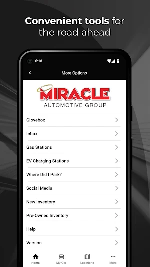 Miracle Automotive Group Screenshot 2