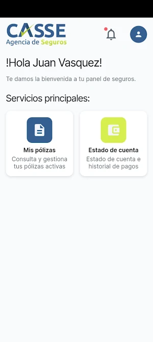 CASSE Agencia de Seguros Screenshot 1