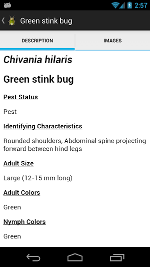 SE Agricultural Stink Bug ID Screenshot 3