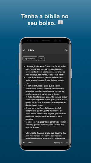 PIB Navegantes Screenshot 2