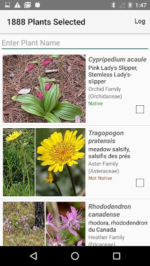 New Brunswick Wildflowers Screenshot 2