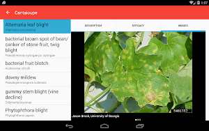 Vegetable Doctor Screenshot 3