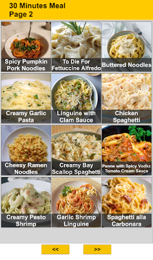 30 Minutes Meal Recipes Screenshot 1