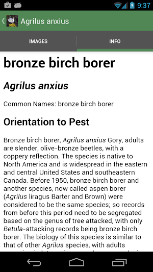 Forest Insect Pests Screenshot 3