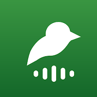 Boring Bird Sound Identifier