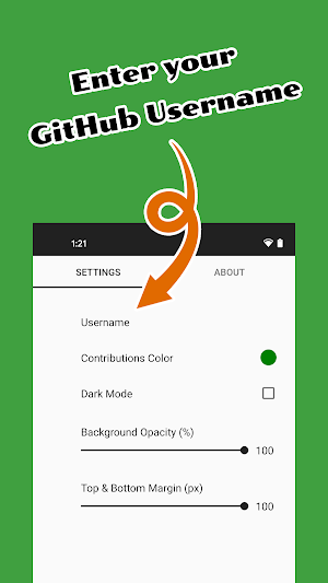 GitHub Widget Screenshot 3