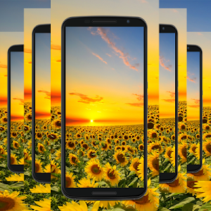nature wallpaper Screenshot 0