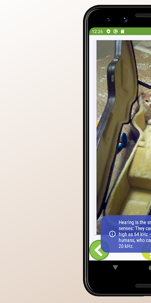 Cat Images and Facts Screenshot 3