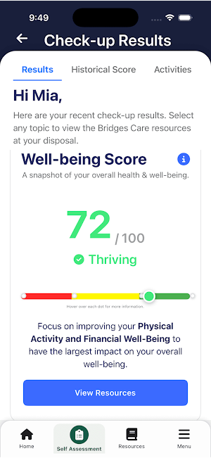 BridgesCare Screenshot 1