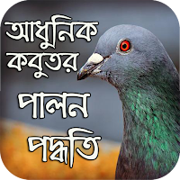 আধুনিক কবুতর পালন পদ্ধতি