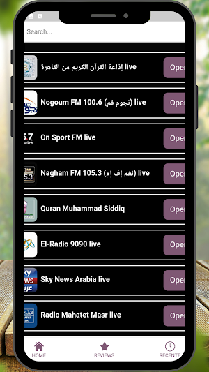 Egypt Radio Stations Screenshot 1