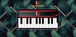 Pro Accordion Screenshot 0