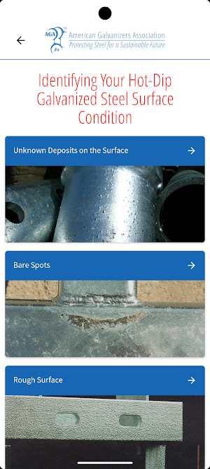 Inspection of Galvanized Steel Screenshot 1