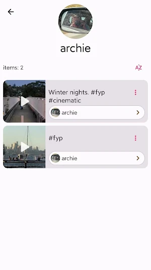 Tik Video Downloader Screenshot 2