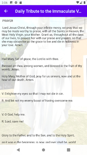 Virgin Mary's Daily Tribute Screenshot 2