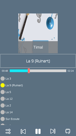 Timal Solide Screenshot 3