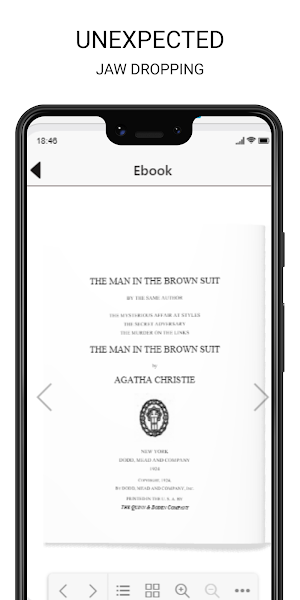 MAN IN THE BROWN SUIT Screenshot 2