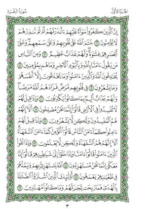 Quran Screenshot 0