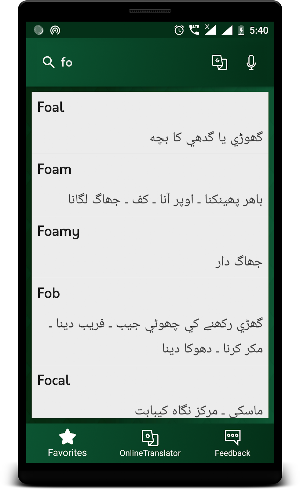 English To Urdu Translator - Urdu Dictionary Screenshot 2