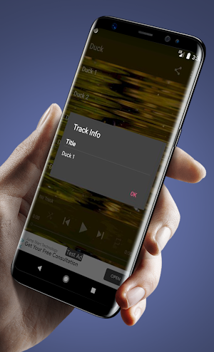 Sounds and Bells of Ducks Screenshot 3