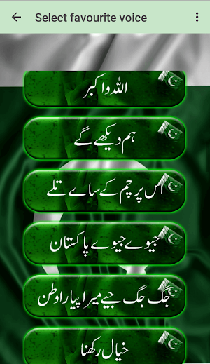 Pakistani Milli Naghmay (National Songs) Screenshot 2