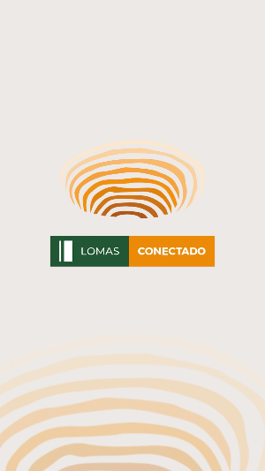 Lomas Conectado Screenshot 2