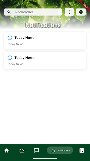 CultiBayer Screenshot 3