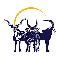 ExoticAuction App