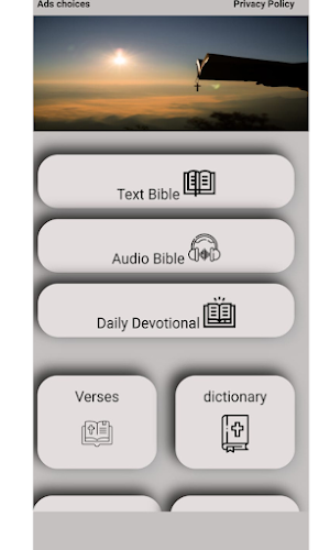 Bible and Dictionary Screenshot 0