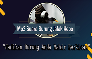 Suara Burung Jalak Kebo Gacor Mp3 Offline Screenshot 0