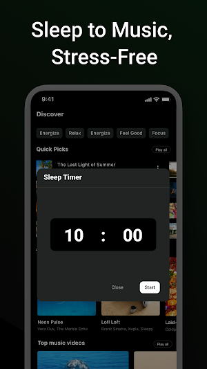 Offline Music, Music Player Screenshot 3